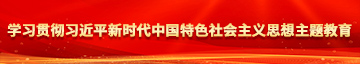 Www操B学习贯彻习近平新时代中国特色社会主义思想主题教育